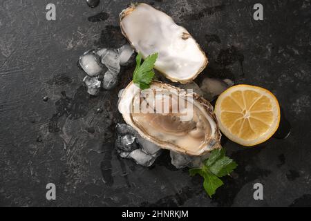 Huîtres crues sur glace avec tranche de citron et garniture de persil sur fond rustique gris foncé, espace de copie, vue en grand angle depuis le dessus, mise au point sélectionnée Banque D'Images