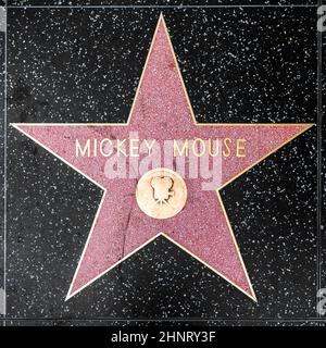 gros plan de Star sur le Hollywood Walk of Fame pour Mickey Mouse Banque D'Images