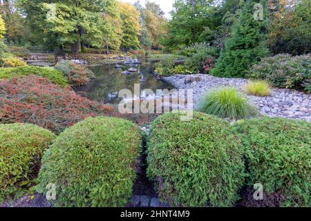 Jardin japonais dans le parc Szczytnicki, plantes exotiques, Wroclaw, Pologne. Banque D'Images