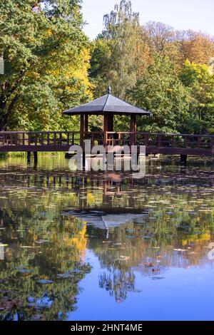 Jardin japonais dans le parc Szczytnicki, plantes exotiques, Wroclaw, Pologne. Banque D'Images