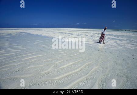 ZANZIBAR BWEJUU PAYSAGE DE LA CÔTE EST Banque D'Images