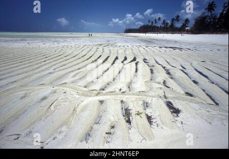 ZANZIBAR BWEJUU PAYSAGE DE LA CÔTE EST Banque D'Images