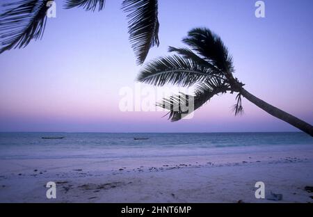 ZANZIBAR BWEJUU PAYSAGE DE LA CÔTE EST Banque D'Images