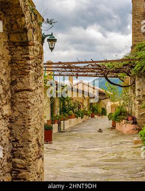 Monastère de Pantanassa, Mystras, Grèce Banque D'Images