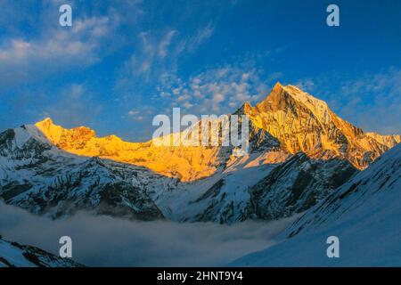 Ciel étoilé au-dessus du camp de base de Machhepuchare et Annapurna - Népal, Himalaya Banque D'Images