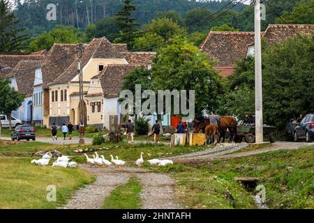 Les maisons de ferme du village de Viscri en Roumanie Banque D'Images