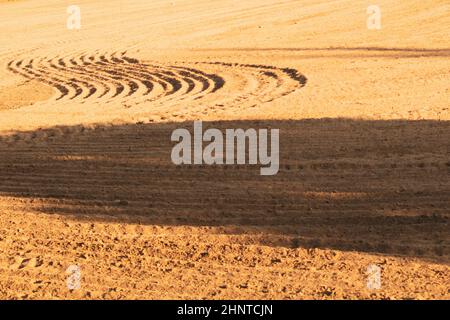 Profil des crêtes courbes et des sillons sur un champ sablonneux. Traces sur le sable. Voies du tracteur Banque D'Images