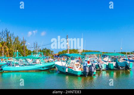 Paysage panoramique Holbox village port Muelle de Holbox Mexique. Banque D'Images