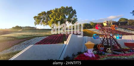 Le Parc urbain de San-Tseng-Chi par une journée ensoleillée et lumineuse avec des champs de fleurs colorés sur la colline sous un ciel bleu clair pendant le Festival des fleurs, dans le quartier de Beitou, Taipei City, Taiwan Banque D'Images