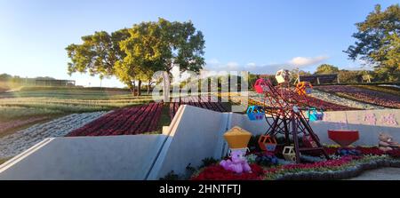 Le Parc urbain de San-Tseng-Chi par une journée ensoleillée et lumineuse avec des champs de fleurs colorés sur la colline sous un ciel bleu clair pendant le Festival des fleurs, dans le quartier de Beitou, Taipei City, Taiwan Banque D'Images