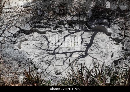 Piscines de boue bouillante avec bulles de vapeur, province de Guanacaste, Parc national de Rincon de la Vieja Banque D'Images