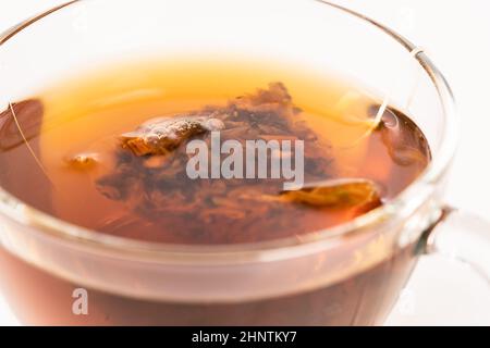 tisane chaude aromatique dans une tasse de verre Banque D'Images