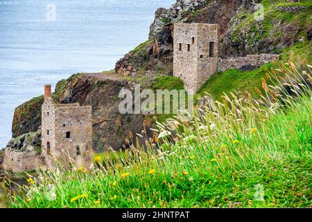 Vue depuis le haut d'une falaise recouverte de fleurs, site classé au patrimoine mondial de l'UNESCO, lors d'une journée d'été calme sur la côte nord de Cornouailles, un lieu de vacances populaire de la National Trust Banque D'Images