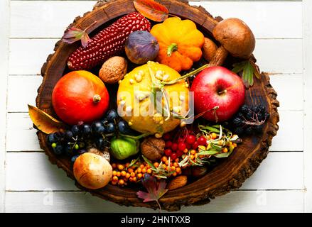 Grand ensemble de fruits, légumes et baies d'automne colorés Banque D'Images