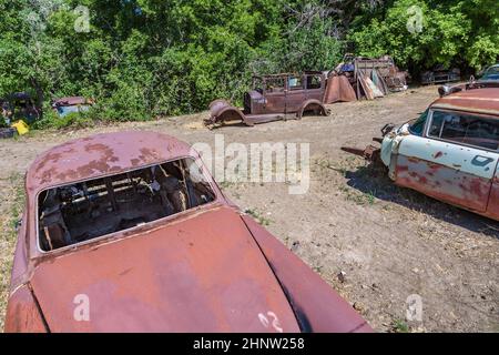 jardin de junk avec vieux beaux oldtimers sur la route 89 Banque D'Images