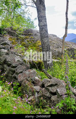 Magnifique paysage norvégien avec arbres ferme montagnes et rochers. Norvège nature. Banque D'Images