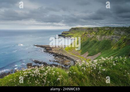 Magnifique littoral de Giants Causeway, vu depuis le sommet de la falaise, faisant partie de Wild Atlantic Way et classé au patrimoine mondial de l'UNESCO, situé en Irlande du Nord Banque D'Images