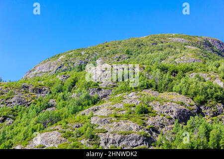 Magnifique paysage norvégien avec arbres ferme montagnes et rochers. Norvège nature. Banque D'Images