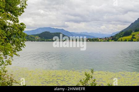 Paysage autour de la grosse Alpsee, un lac près d'Immenstadt en Bavière, Allemagne Banque D'Images