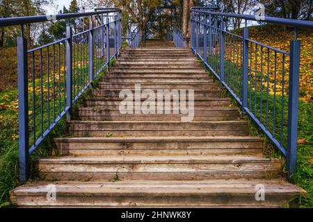 escalier en bois avec garde-corps en acier inoxydable dans le parc. Banque D'Images