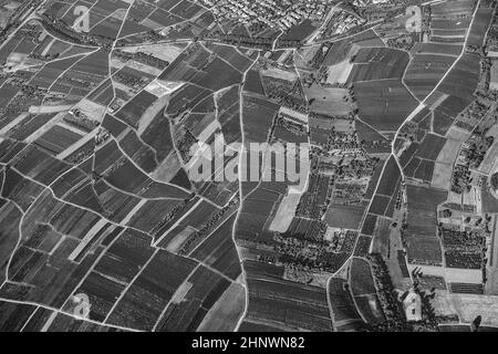 Vue panoramique de champs dans la région rurale de rheinland-pfalz près de Mayence Banque D'Images