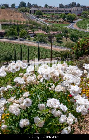 Belle photo dans le pays viticole de Temecula Valley, Californie Banque D'Images