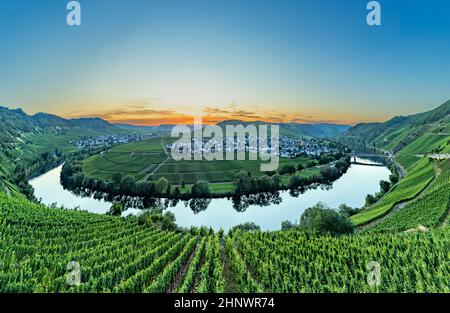 Pittoresque boucle de la moselle à Leiwen, Trittenheim en Allemagne Banque D'Images