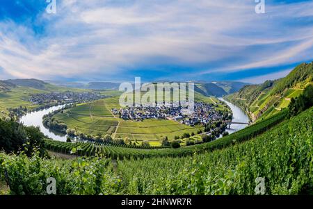 Pittoresque boucle de la moselle à Leiwen, Trittenheim en Allemagne Banque D'Images