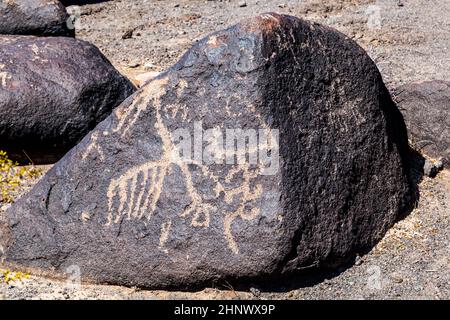 Petroglyph site, près de Gila Bend, Arizona Banque D'Images