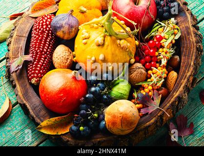 Grand ensemble de fruits, légumes et baies d'automne colorés Banque D'Images