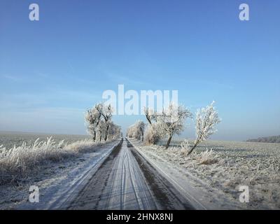 route enneigée vide dans un paysage d'hiver pittoresque Banque D'Images