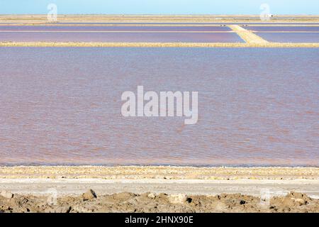 Dunes de sel, Aigues-Mortes, France Banque D'Images