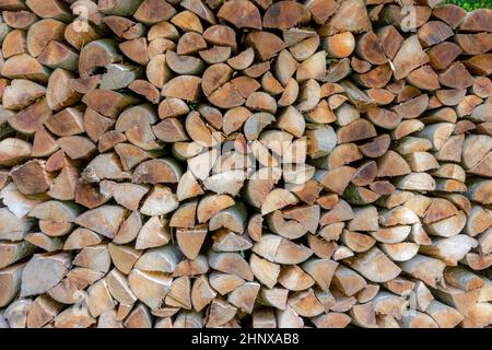 fond de bois de chauffage agrafé séchant dans la forêt Banque D'Images