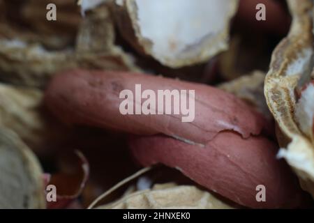 Les coquilles d'arachides vides se répartissent sur le sol. Arrière-plan de la coque d'arachide. Banque D'Images