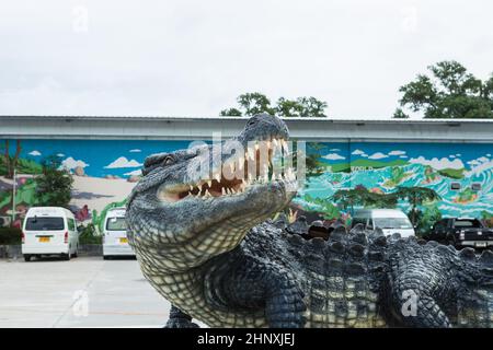 Portrait d'un crocodile d'eau douce dans une ferme de crocodiles en Thaïlande, Phuket, dans la ferme nourrissant le Crocodylus avec du poulet cru, c'est l'un des meilleurs Banque D'Images