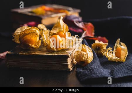 Physalis peruviana.Cape Gooseberry ou cerises moulées fruits sur table noire. Banque D'Images