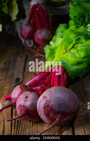 Botwina, jeune Beetroot rustique Banque D'Images