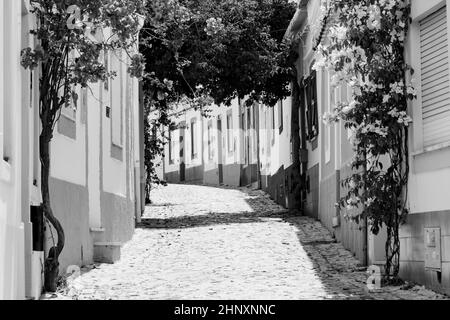 Sur les ruelles étroites de Ferragudo, Algarve, Portugal, Europe Banque D'Images