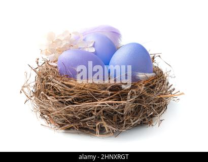 Trois œufs violets dans un nid avec une plume et des fleurs isolées sur un fond blanc. Vue latérale. Le concept de Pâques. Banque D'Images