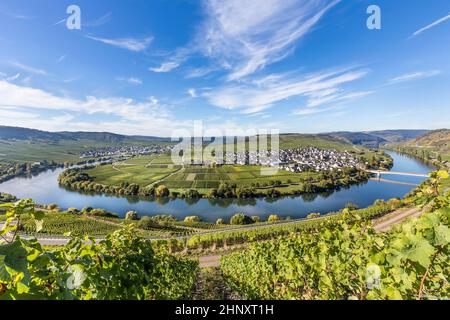 Célèbre Moselle Trittenheim en boucle, de l'Allemagne. Banque D'Images