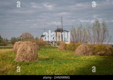 Anciens moulins à vent et piles de foin, Kinderdijk, pays-Bas Banque D'Images