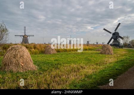 Anciens moulins à vent et piles de foin, Kinderdijk, pays-Bas Banque D'Images