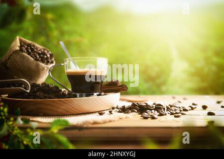 Café fraîchement préparé sur une table en bois avec sac plein de haricots et de plantes et café sur le fond avec des rayons du soleil. Vue avant. Position horizontale Banque D'Images