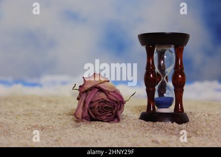 HourGlass sur la plage avec la rose séchée DOF peu profonde Banque D'Images