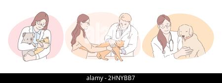 Vétérinaire professionnel avec animaux de compagnie pendant le travail concept. Jeunes hommes et femmes confiants médecins vétérinaires en uniforme blanc examinant et traitant les chiens et les chats dans les bureaux de cliniques médicales Illustration de Vecteur