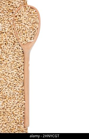 L'orge avec une cuillère en bois isolé sur fond blanc Banque D'Images