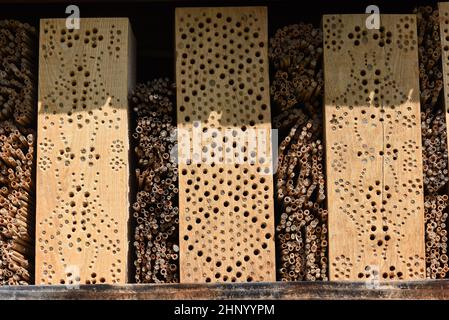 Les hôtels d'insectes servent d'abri et de terrain de reproduction aux insectes, en particulier aux abeilles sauvages. Banque D'Images