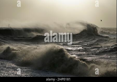 Vagues crash contre la Cobb dans Lyme Regis, Dorset ouest, comme la tempête Eunice frappe la côte sud, avec des attractions de fermeture, la perturbation de voyage et un incident majeur déclaré dans certaines régions, ce qui signifie que les gens sont avertis de rester à l'intérieur. Un avertissement rare de temps rouge - l'alerte la plus élevée, ce qui signifie qu'un impact élevé est très probable - a été émis par le bureau met en raison de la combinaison de marées hautes, de vents forts et de la montée de tempête. Date de la photo : vendredi 18 février 2022. Banque D'Images