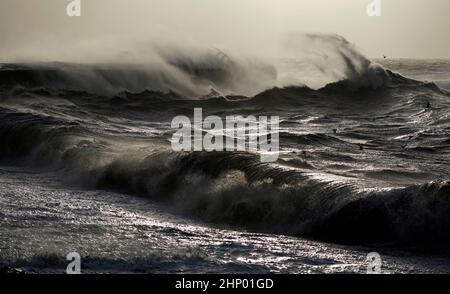 Vagues crash contre la Cobb dans Lyme Regis, Dorset ouest, comme la tempête Eunice frappe la côte sud, avec des attractions de fermeture, la perturbation de voyage et un incident majeur déclaré dans certaines régions, ce qui signifie que les gens sont avertis de rester à l'intérieur. Un avertissement rare de temps rouge - l'alerte la plus élevée, ce qui signifie qu'un impact élevé est très probable - a été émis par le bureau met en raison de la combinaison de marées hautes, de vents forts et de la montée de tempête. Date de la photo : vendredi 18 février 2022. Banque D'Images