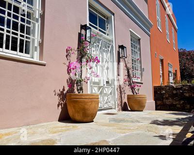 Fleurs sur une belle terrasse africaine à Bo-Kaap, Schotsche Kloof. Banque D'Images